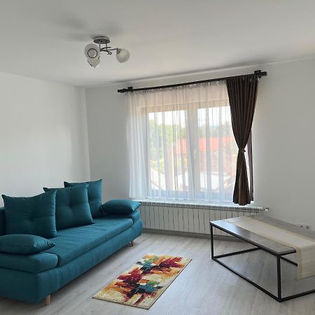 Casa Rafael Ξενοδοχείο Sighetu Marmaţiei Εξωτερικό φωτογραφία