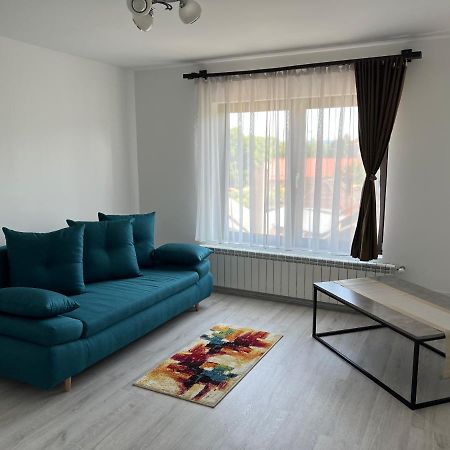 Casa Rafael Ξενοδοχείο Sighetu Marmaţiei Εξωτερικό φωτογραφία