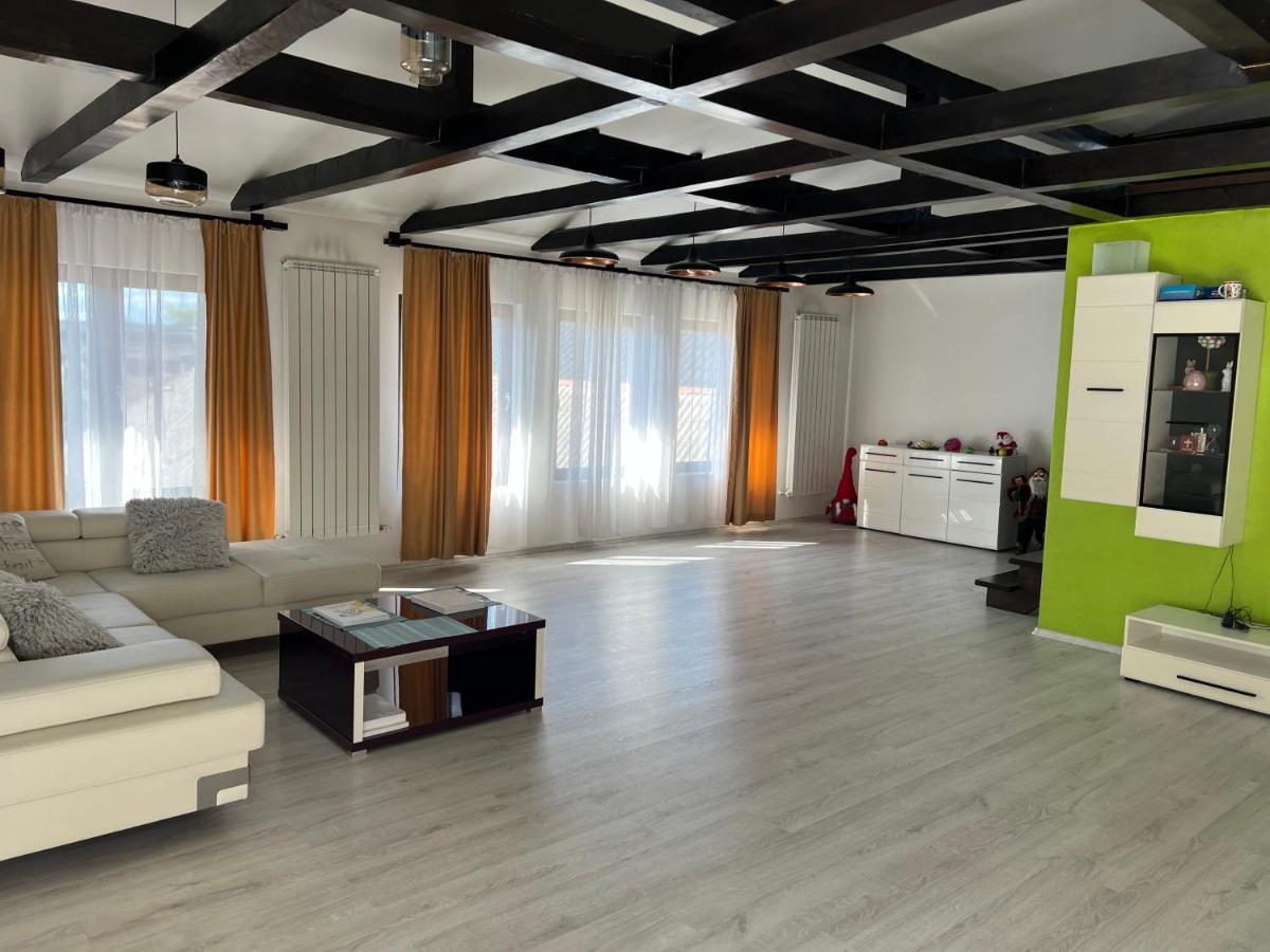 Casa Rafael Ξενοδοχείο Sighetu Marmaţiei Εξωτερικό φωτογραφία