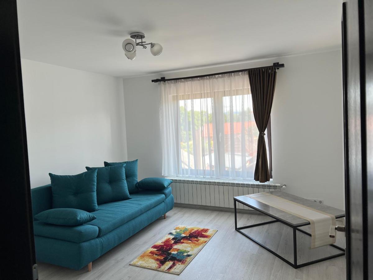 Casa Rafael Ξενοδοχείο Sighetu Marmaţiei Εξωτερικό φωτογραφία